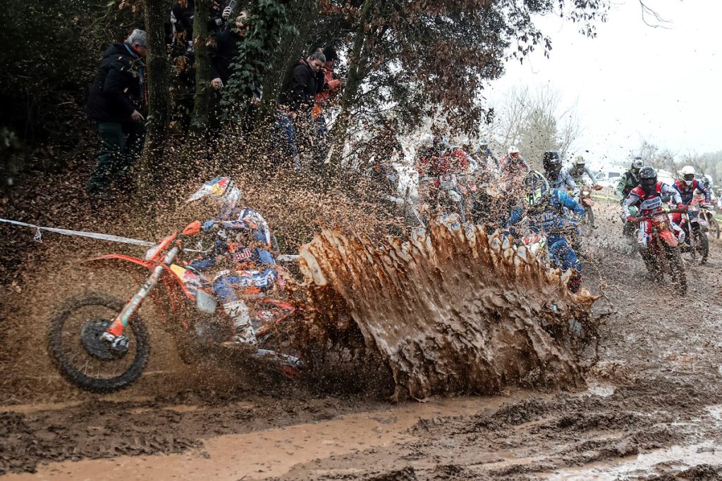 Josep Garcia Basella 2026 1