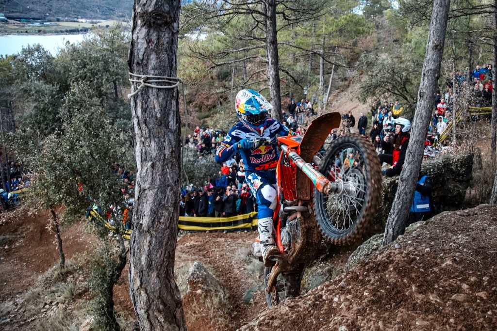 Josep Garcia Basella 2026 3